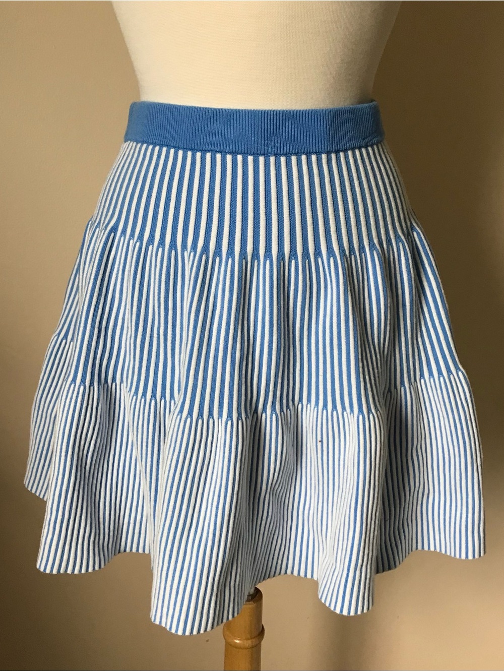 Blue and White Striped Circle Skirt with Knit Waistband